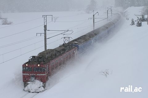 豪雪期のEF81ローズピンク牽引日本海