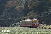 茶畑を行く大井川鐵道3000系