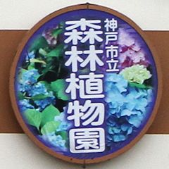 「神戸市立森林植物園」あじさいヘッドマークを掲出する北神急行7000系