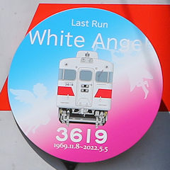 Last Run White Angel 3619 ヘッドマーク